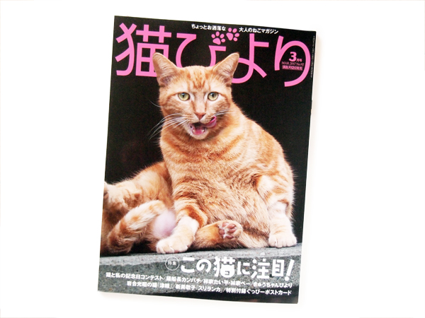 雑誌「猫びより」にクリップファミリー登場！